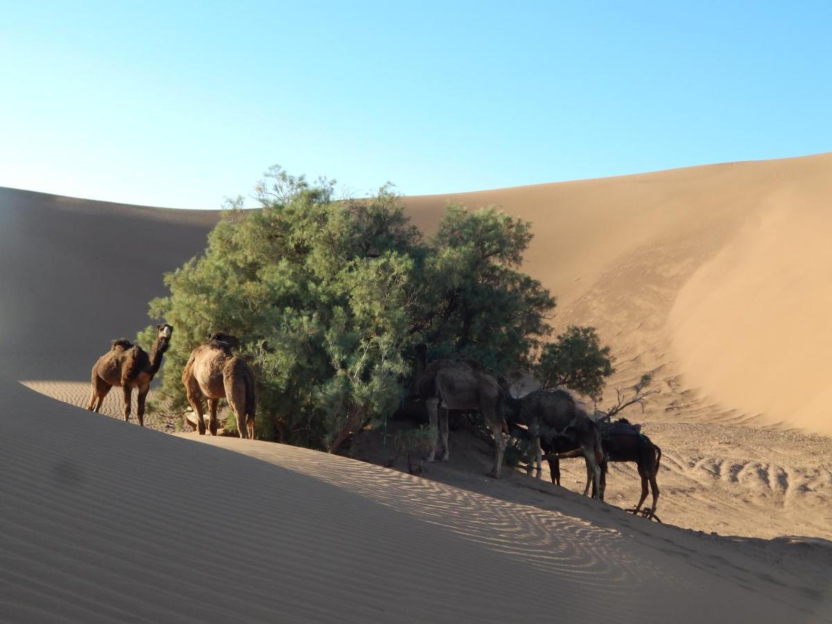Hotel Kasbah Du Bout Du Monde Zagora Esterno foto