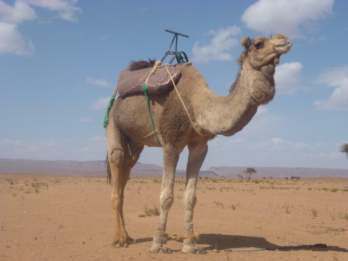 Hotel Kasbah Du Bout Du Monde Zagora Esterno foto
